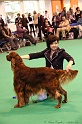 Crufts2011_2 131